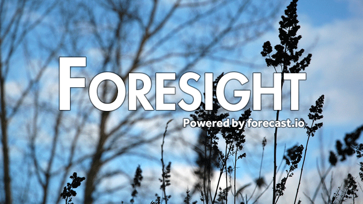 Foresight icon