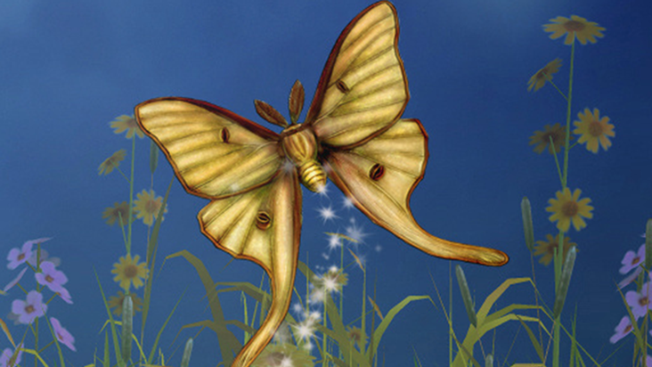 Hidden Garden icon