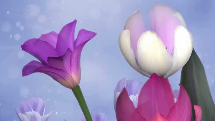 Hidden Garden Meadow icon